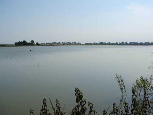 Zalew w miejscowości Staw.