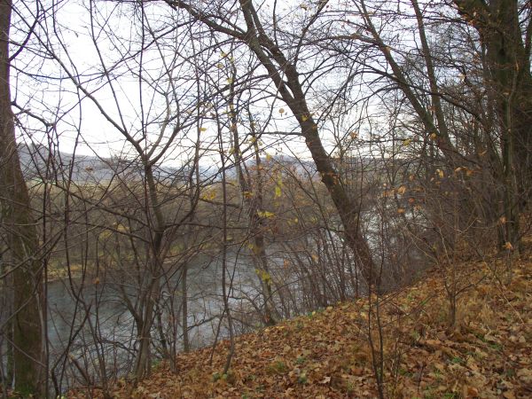 strome, urwiste, z przewagą odkrywki kamiennej - zbocze, stanowi od tej strony kres wzgórza parkowego - są też tacy, co piszą i powiadają iż pod korytem Sanu je