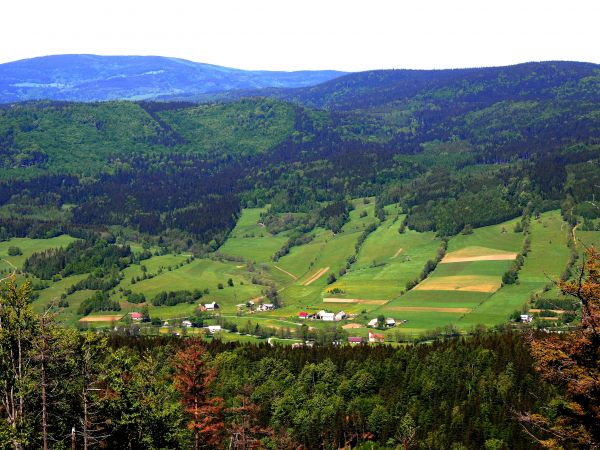 zdjecie Stary Gierałtów