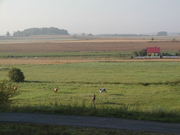 I późnym porankiem....