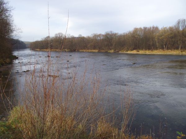 rzeka San - w kierunku do m. Hoczew /jest galeria - zapraszam/.