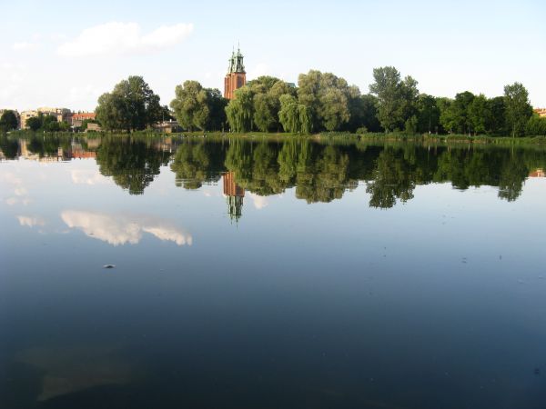 Gniezno, katedra