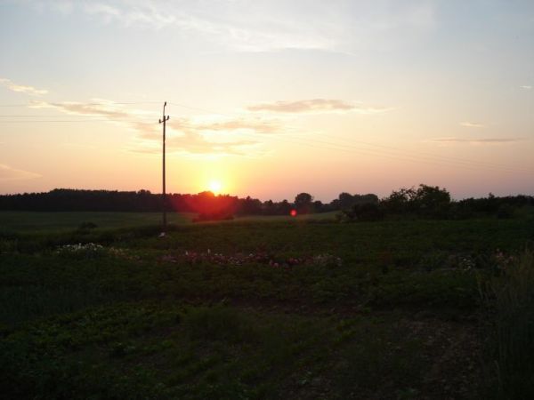 Zachód słońca nad lasem w Kłodzinie