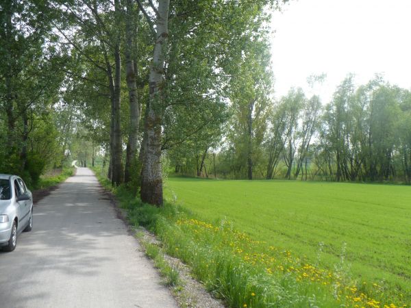 Jeszcze porę kroków urokliwą aleją i zobaczymy drugie oczko wodne w Brzostkowie - jezioro u P. Masłowskich .Najpiękniejsze doznania estetyczne dostrzeżemy nad "