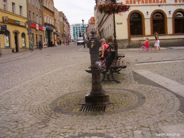 Poidło ptactwa