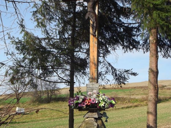 Krzyż Powstańczy - dla uczczenia z 1863 roku, osadzony na kopcu usypanym z kamieni - na skraju wsi obok drogi przy Lesie Gonszczawa, przydrożny znak wiary. Przy