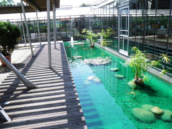 Zamek - Muzeum w Łańcucie. Storczykarnia