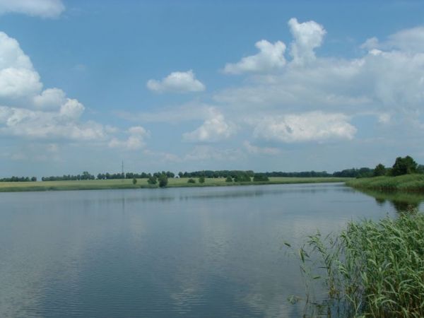 Zalew Brzózki Byczyna