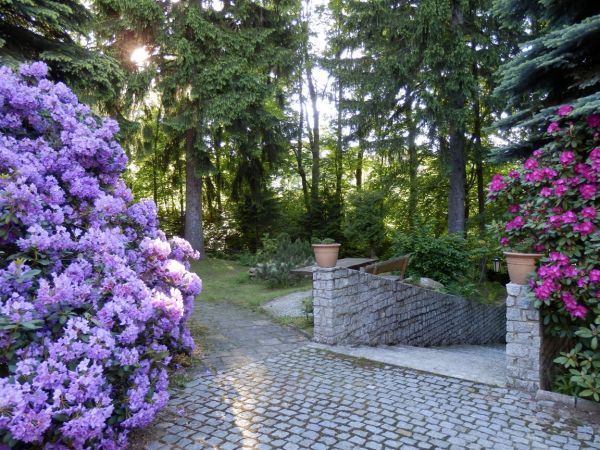 Nasz ogród w Świeradowie.