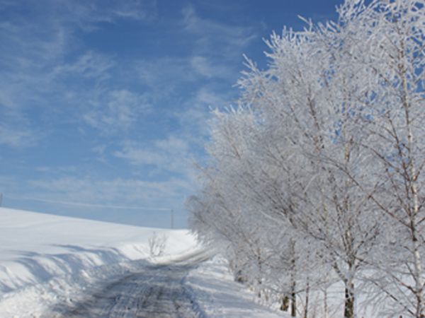 Zima 2010 okolice  autor: Roman Bielski