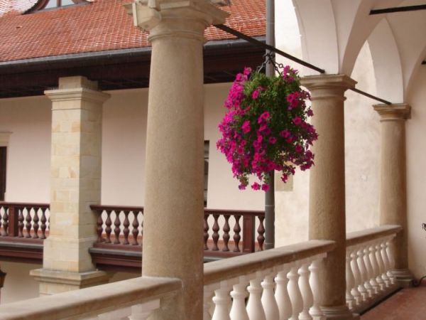 zdjecie Niepołomice