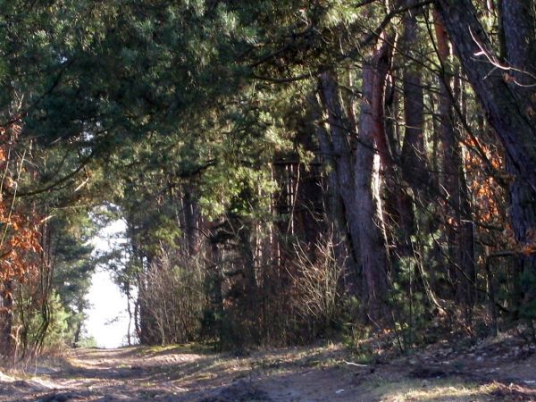 zdjecie Wola Wężykowa