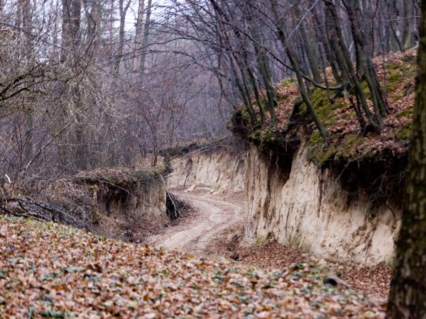 zdjecie Bończa-Kolonia