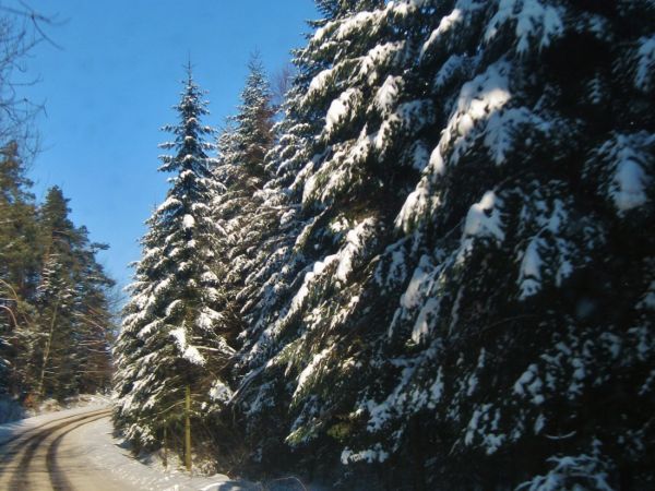 Wojnarowa,droga zimà obok lasòw,swietne malownicze miejsca na organizowanie kuligòw