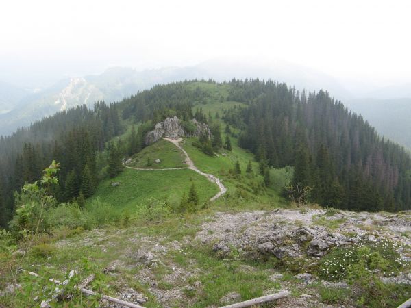 W drodze na Ciemniak