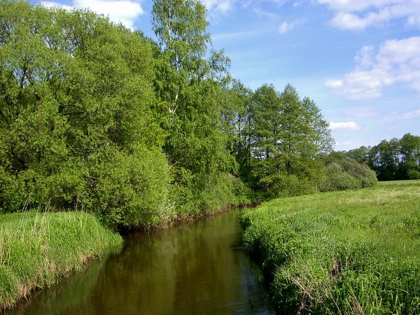 Zdjęcia Zabiełłów