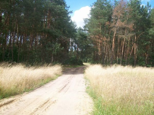 Zdjęcia Wólka Kątna