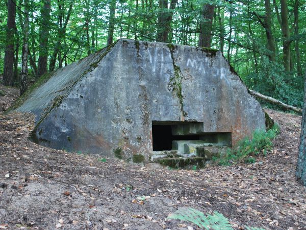 Jedna z pamiątek wojennej przeszłości Piły- schron bojowy ,fragment umocnień przy jeziorze Jeleniowym.