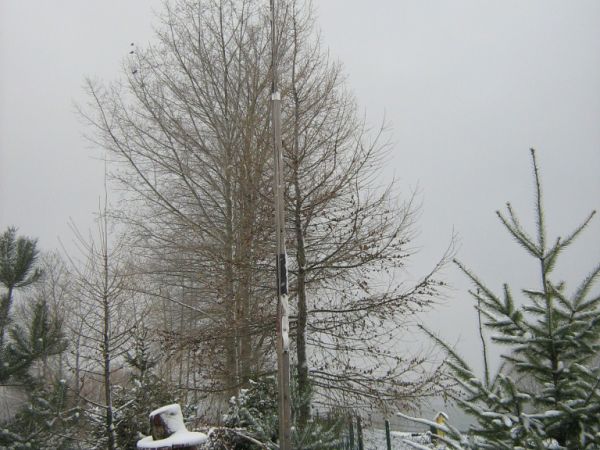 Flaga na maszcie - znak , że przyjechalismy na wypoczynek.