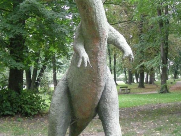 W ziębickim parku...