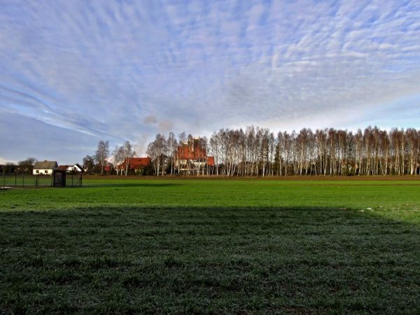 Teren rolniczy a zanim "Ewaldowy lasek" i tylna ściana miejscowego kościoła. Widok z ulicy Wiśniowej.