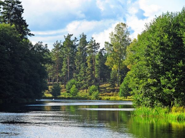 Rozlewisko rzeki Wdy przed zaporą i Starym Młynem