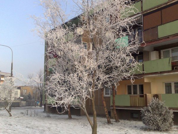 Osiedle Sienkiewicza