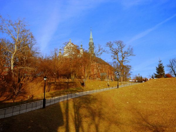zdjecie Sandomierz