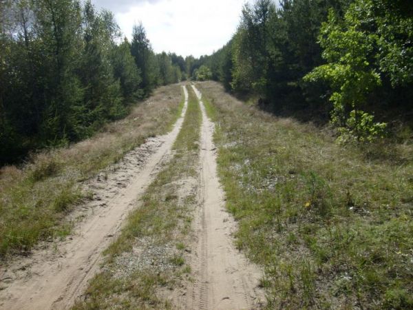 Nad jezioro... idziemy