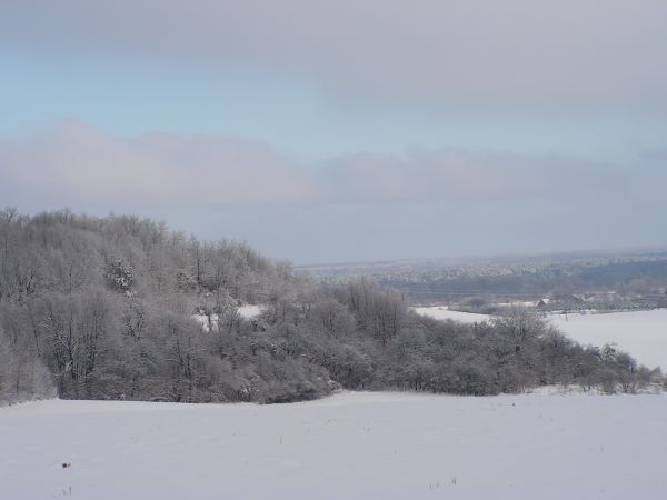 zdjecie Wola Uhruska