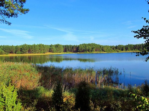 Jezioro Szarmachy. Po drugiej stronie jeziora jest dzikie kąpielisko.