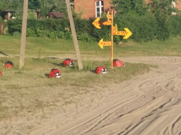 zdjecie Nowa Wieś Iławecka