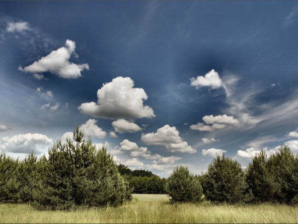 zdjecie Tyniewicze Duże