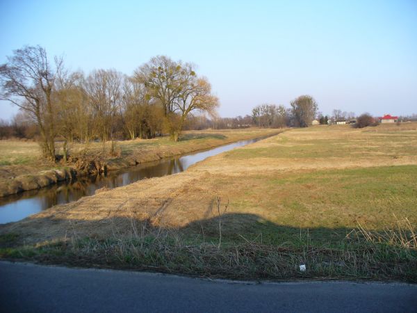 Polecam piękną miejscowość. Okolica spokojna, urokliwa, idealna do zamieszkania w ciszy spokoju i otoczeniu zieleni, ptaków i zwierząt.