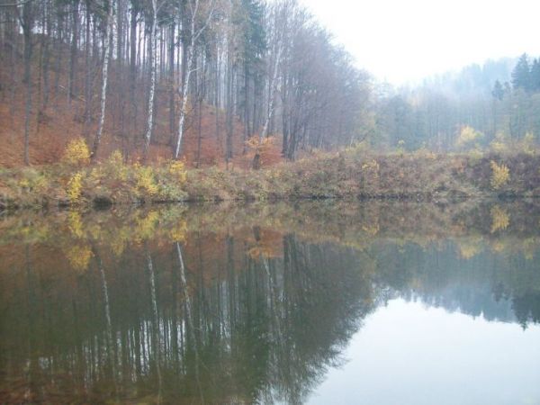 Stawy jesienią(II- z pięciu)