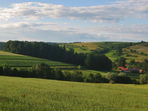 Malownicza i cicha miejscowosc