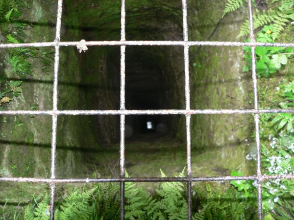 zdjecie Niedzica Zamek