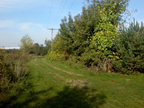 zdjecie Polubicze Wiejskie Pierwsze