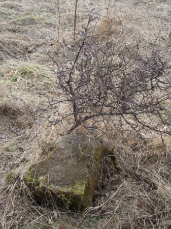 pomnik nagrobny, kamienny - na cmentarzu ewangelickim.