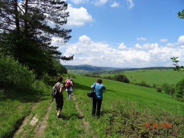 hen - hen Beskid Baligrodzki, zachodnie rubieża Bieszczadów ale też dolina rzeki Hoczewki /na wcześniejszym odcinku zwaną: Jabłonka, bo wieś Jabłonki/ a i potok