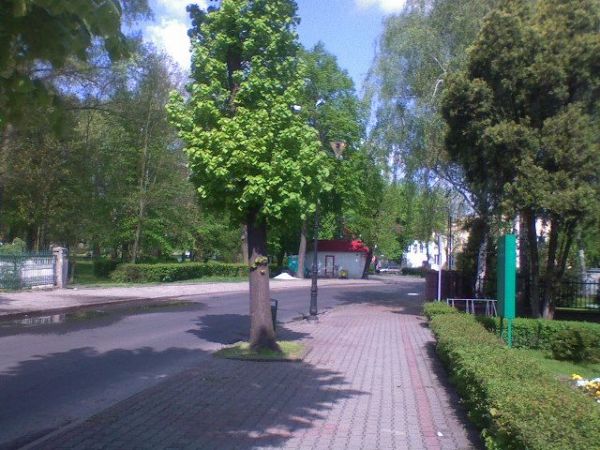 zdjecie Sulechów