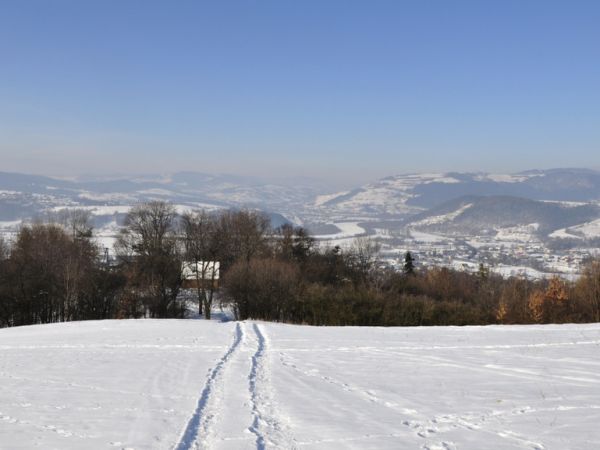 Wielogłowy z górki