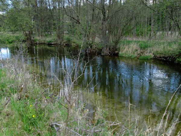 Kanał rzeki Wdy oraz teren nad nim położony