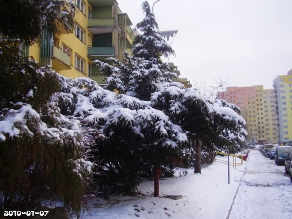 Asnyka strona 'rowerowa'