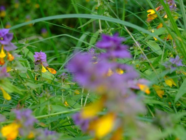 zdjecie Biała Podlaska