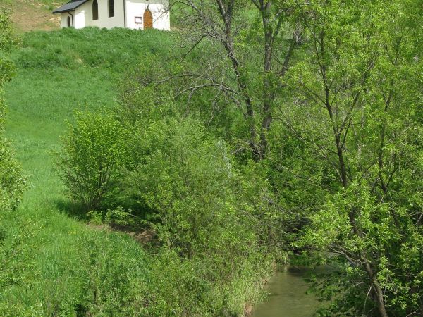 na wysokim brzegu potoku Ruchlin - polecam też inne jego zdjęcia i opisy - kościółek pw. Matki Boskiej Ostrobramskiej w Żernicy Niżnej, wzniesiony sumptem niewi