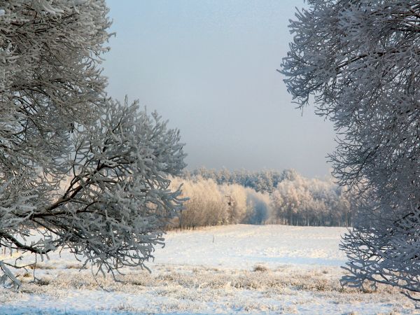 zdjecie Tyniewicze Duże
