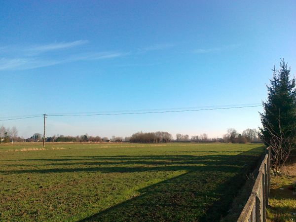 Gra cieni i słońca promieni -  Brzostków  8 III  A.D. 2015. Na horyzoncie wał Wisły .