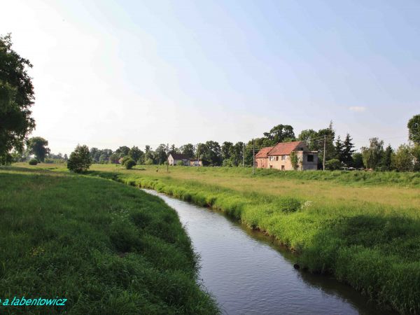 PRAWOBRZEŻNY  DOPŁYW  CARNEJ  WODY
