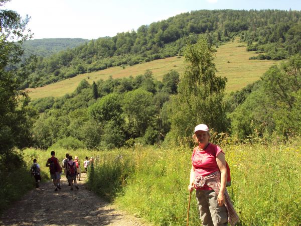 zejście od Schroniska PTTK Jaworzec, w dole rzeka Wetlina a na niej - dalej -  Rezerwat "Sine Wiry', za rzeką zbocze góry Pereszliba - 769m npm. W takich miejsc